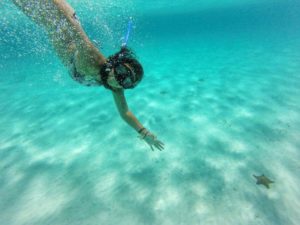 Riviera Maya snorkel en Cozumel