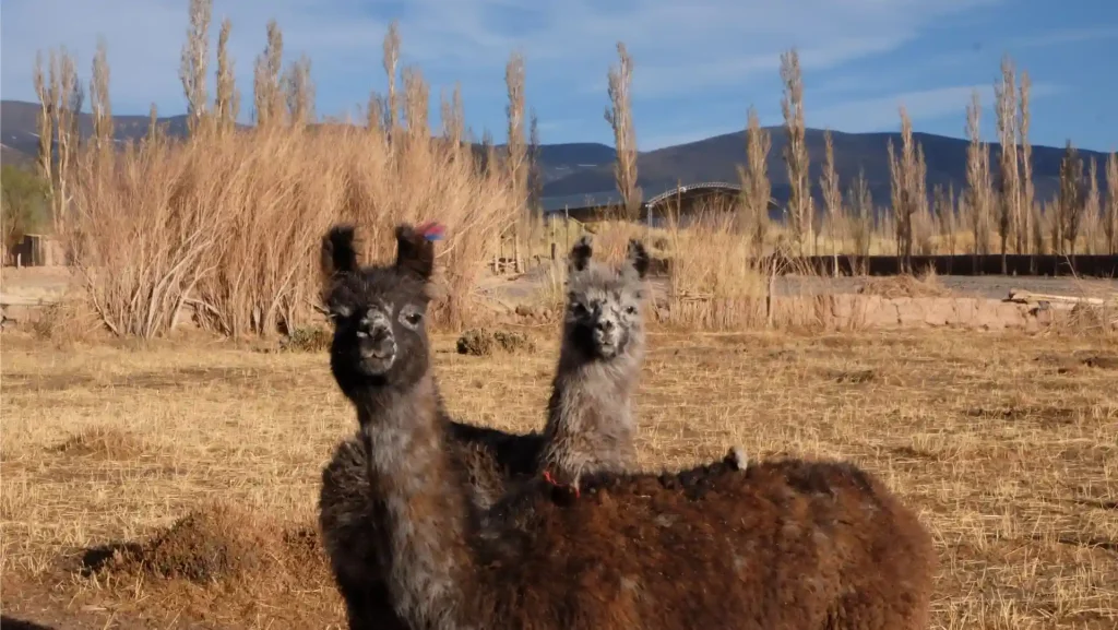 viajes en moto trail