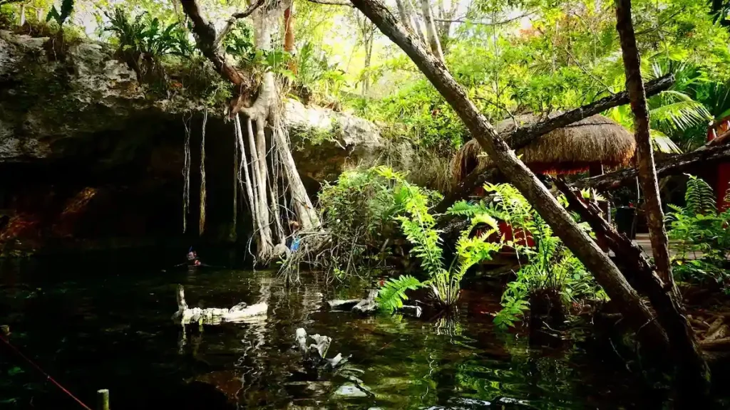 rutas en coche por mexico