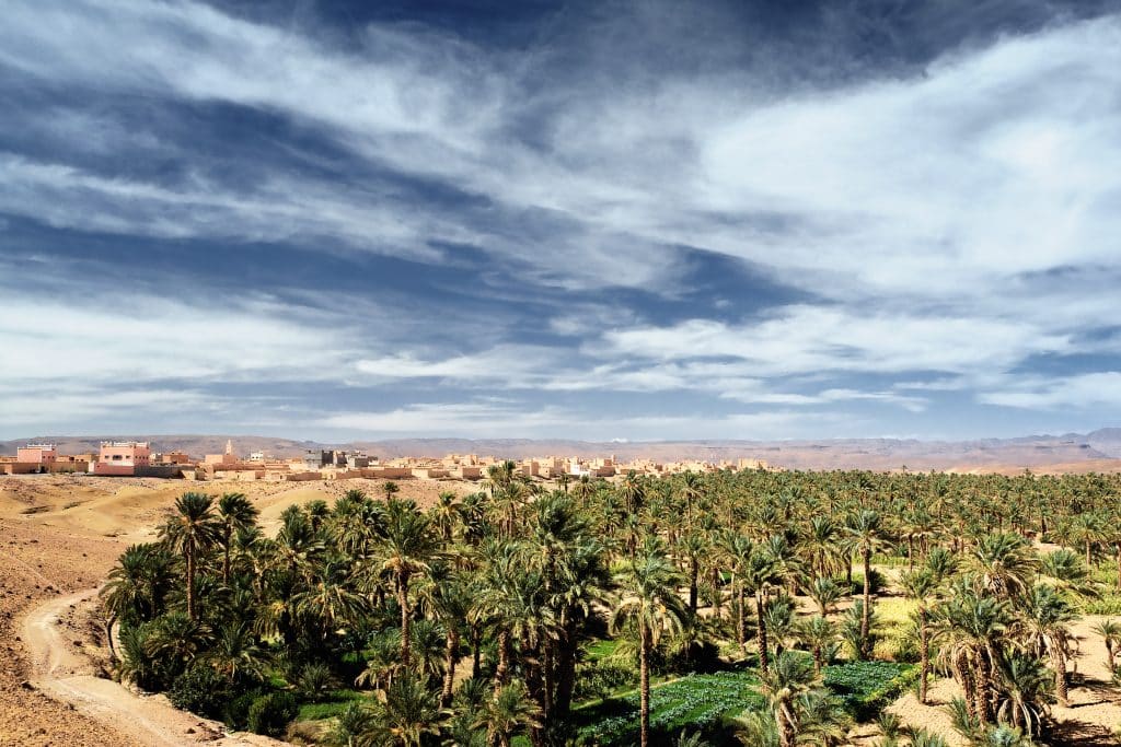que ver en marrakech el palmeral