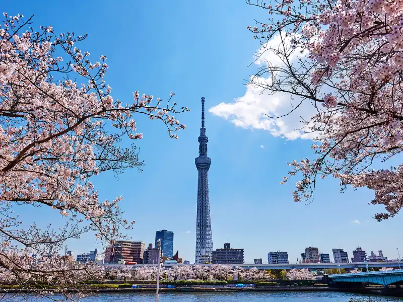 Japón