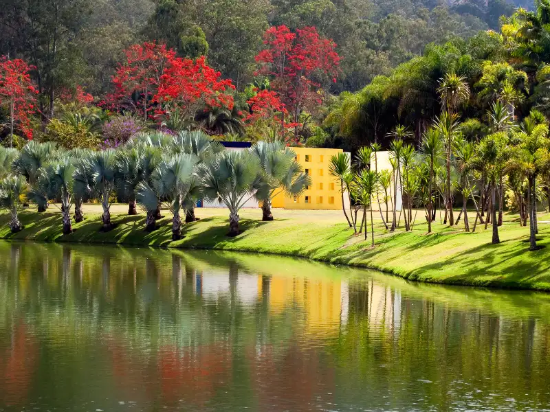 Instituto Inhotim